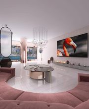 Jardines Vladimir S.L imagen 8