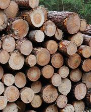 Schilling Hermann KG Bild 1