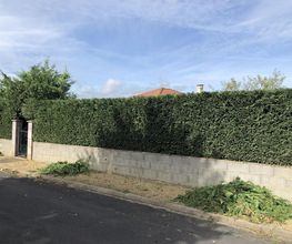 Olivier Espaces Verts et Services image 6