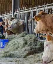 Marinus Eberharter Feinkost Bild 2