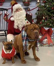 Westwood Regional Veterinary Hospital image 14