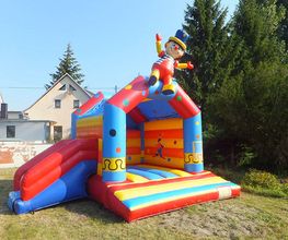 Der Hüpfburgexperte Bild 8