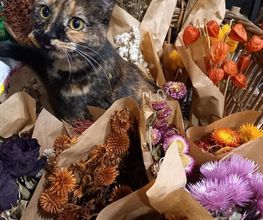 Saveurs Florales image 11