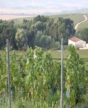 Loriot Francis image 2