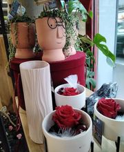 Montluçon Fleurs image 2