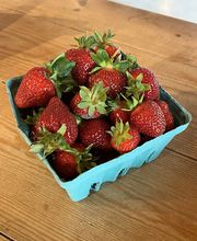 Historic Weston Orchard & Vineyard image 5