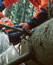 Ernst Baumgartner AG