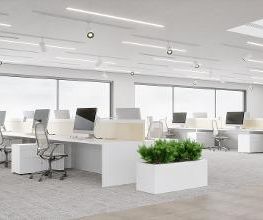 INVERSIONES EL EMBARCADERO SL imagen 5