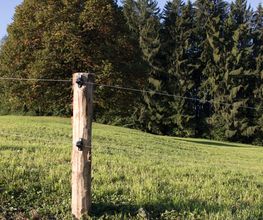 Alpsteinzaun + Tor AG Bild 5
