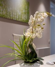 Heilpraktiker Nürnberg - Dr. Philipp Weidenbecher - Psychotherapie, Sexualtherapie, Paartherapie und Traumatherapie Bild 10