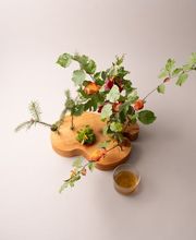 Roh und Nobel gmbh Bild 1