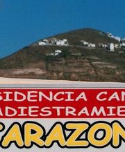 Residencia canina Tarazona imagen 1