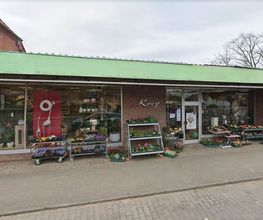 Gärtnerei Koop Bild 1