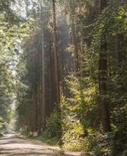 FriedWald Kisdorf Bild 1