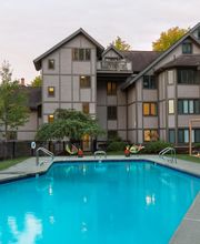 Field Guide Lodge image 4