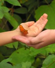 Etre ô Monde image 3