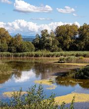 Genevaise-Esteve Et Associés image 3