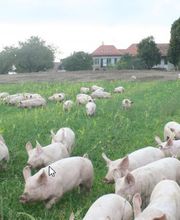 La Ferme En Croix Bild 4