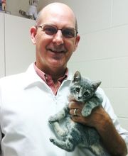 Chateau Dog & Cat Hospital image 9