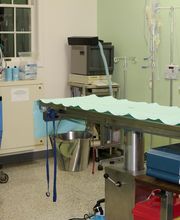 Skippack Animal Hospital image 14