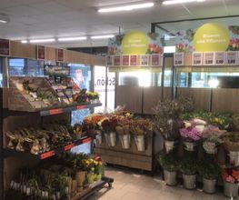 Lidl Bild 4