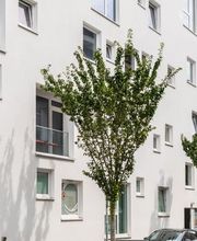 Praxis für Naturheilkunde - Nicole Fietz - Heilpraktiker Köln