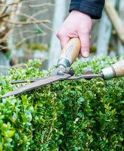 Dürig Gartenbau Bild 7