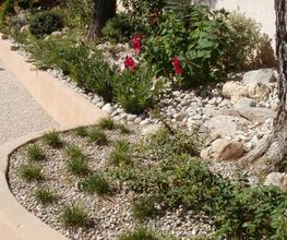 Iris Jardin image 5