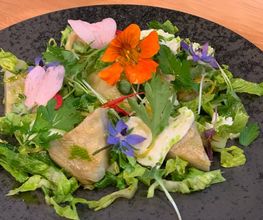 Kochschule Culinary Schwanefeld Bild 14
