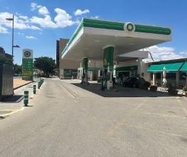 bp imagen 3