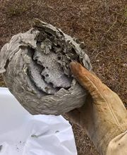 Le Floch Christophe image 7