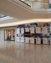 CertaPro Painters of Highlands Ranch, CO image 6