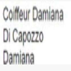 Coiffeur Damiana logo