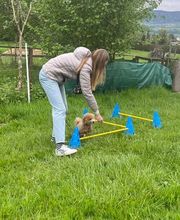 4happypets.ch, Inhaberin Schön Bild 7