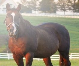 FarmPerfekt Bild 16
