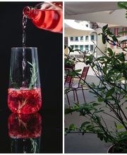 Terronia Ristorante Pizzeria Bild 13