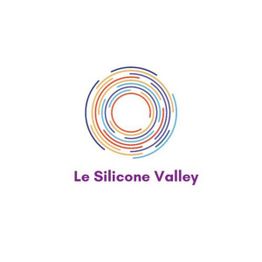 Le Silicone Valley logo