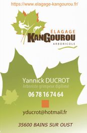 Kangourou Arboricole Élagage