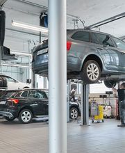 AMAG Winterthur Audi / Škoda Bild 10