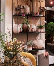 FLORA Weinfelden Bild 10