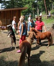 Camping und Ferienpark Buntspecht Bild 3