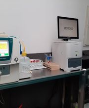 clinica-veterinaria-bau-bau-6.jpg