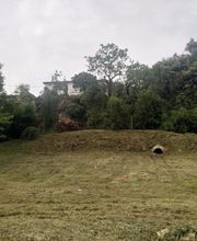 ATBJ terrasse bois et jardin image 5