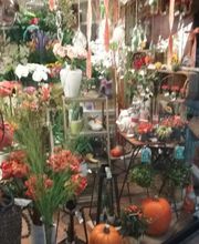 Bielsa Christine image 1