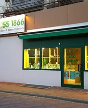 Optik Gross 1866 Bild 1