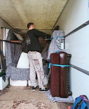 Die Umzugslöwen De Moll Bild 10