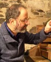 Pianos Philippe Courreye image 1