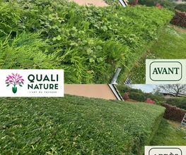 Quali Nature image 18