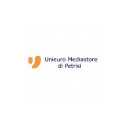 Petrisi Mediastore logo