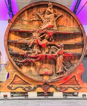GRAPE EXPERIENCE image 8